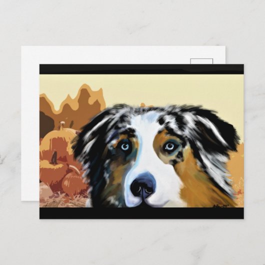 CARTE POSTALE AUSTRALAN SHEPHERD (Devant / Derrière)