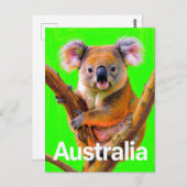 Carte Postale Australia Koala Bear Pop Art (Devant / Derrière)