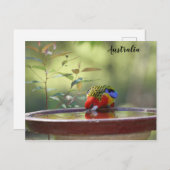 Carte Postale Australian Eastern Rosella (Devant / Derrière)