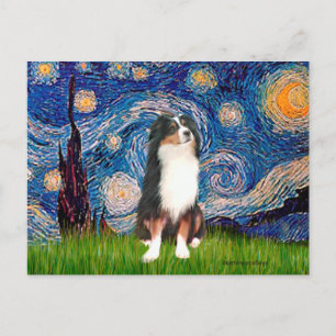 Carte Postale Australian Shepherd (Tri2) - Nuit étoilée