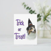 Carte Postale Australian Shepherd Trick (Debout devant)