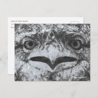 Carte Postale Australian Wildlife, Nature's Curmudgeon, Animal