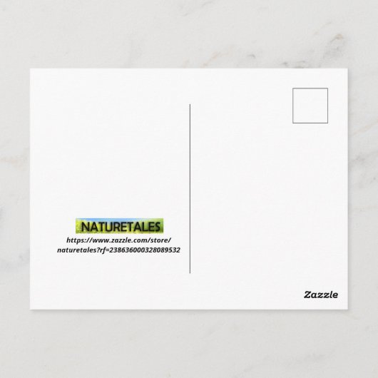 Carte Postale Australie (Dos)