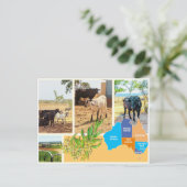 Carte postale Australie (Debout devant)