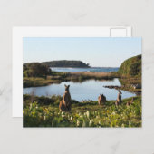 Carte postale Australie (Devant / Derrière)