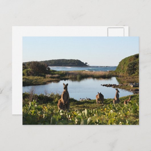 Carte postale Australie (Devant / Derrière)