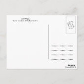 Carte postale Australie | Australien pittoresque (Dos)