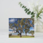Carte Postale Australie, Barossa Valley, Mount Pleasant (Debout devant)