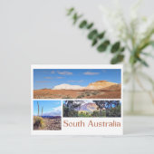 Carte Postale Australie du Sud (Debout devant)