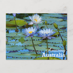 Carte postale Australie Extraordinaire