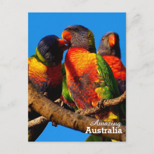 Carte postale Australie Extraordinaire