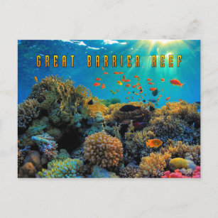 Carte Postale Australie Grande barrière de corail stylisée