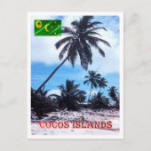 Carte Postale Australie - Îles Cocos (Keeling) - Palmiers - (Devant)