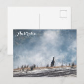 Carte Postale Australie Kangaroo Travel Photo (Devant / Derrière)