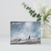 Carte Postale Australie Kangaroo Travel Photo (Debout devant)