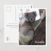 Carte Postale Australie - Koala - (Devant / Derrière)