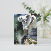 Carte Postale Australie Koala Bear (Debout devant)