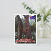 Carte Postale Australie - Melbourne - Great Otway - (Debout devant)