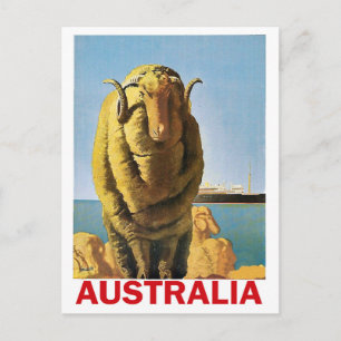 Carte Postale Australie, moutons sur la côte