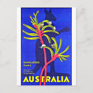 Carte Postale Australie, pattes kangourous, fleurs sauvages aust
