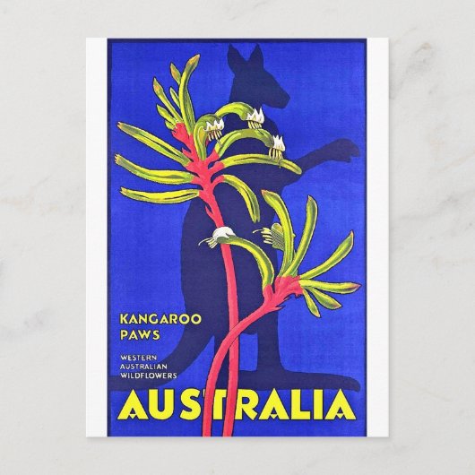 Carte Postale Australie, pattes kangourous, fleurs sauvages aust (Devant)
