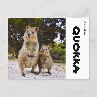 Carte Postale Australie Quokka