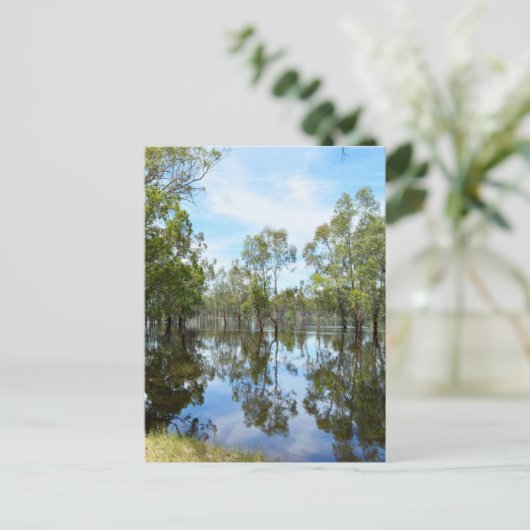 Carte Postale Australie The River Murray, (Debout devant)