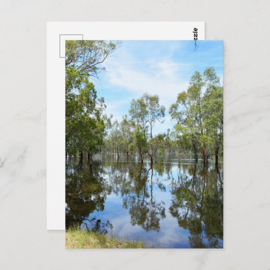 Carte Postale Australie The River Murray, (Devant / Derrière)