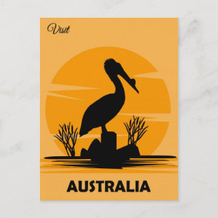 Carte Postale Australie Vintage Pélican Travel