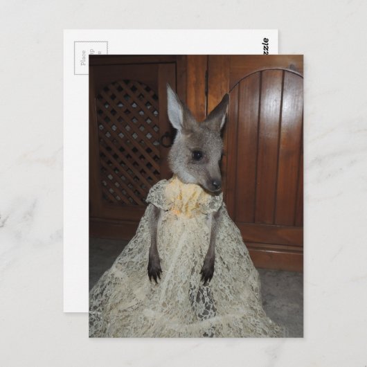 Carte Postale Australien Kangaroo Joey (Devant / Derrière)