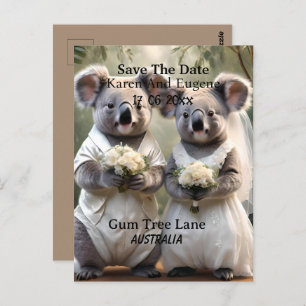 Carte Postale Australien Koala Bear Mariage blanc