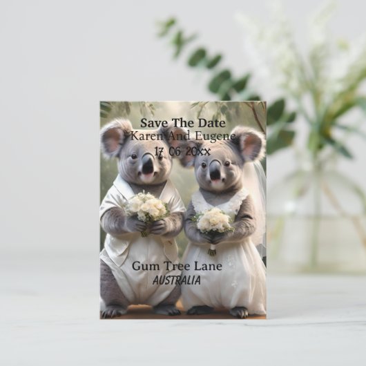 Carte Postale Australien Koala Bear Mariage blanc (Debout devant)