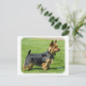 Carte Postale Australien Terrier 9R044D-62 (Debout devant)