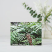 Carte postale australienne du Queensland (Debout devant)