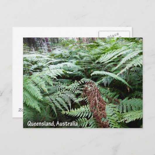 Carte postale australienne du Queensland (Devant / Derrière)