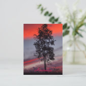 Carte postale australienne orageuse au coucher du (Debout devant)
