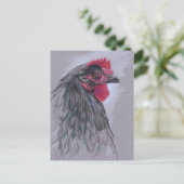Carte Postale Australorp noir Hen (Debout devant)
