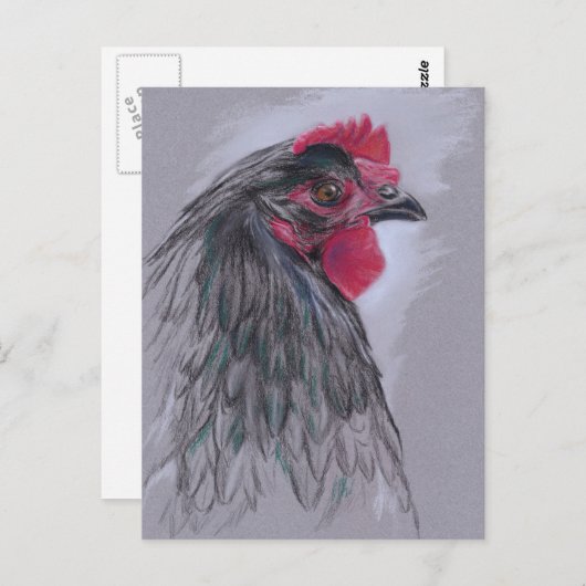 Carte Postale Australorp noir Hen (Devant / Derrière)