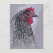 Carte Postale Australorp noir Hen (Devant)