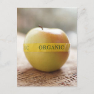 Carte Postale Autocollant biologique sur pomme