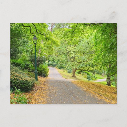 Carte Postale Automne (Devant)