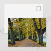 Carte Postale Automne (Devant / Derrière)