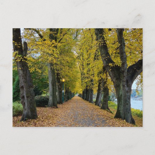 Carte Postale Automne (Devant)
