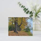 Carte Postale Automne (Debout devant)
