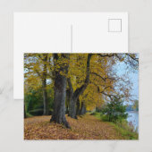 Carte Postale Automne (Devant / Derrière)