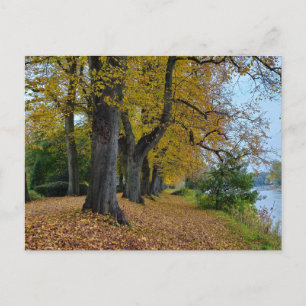 Carte Postale Automne