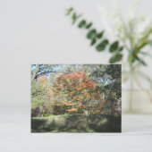 Carte Postale Automne (Debout devant)