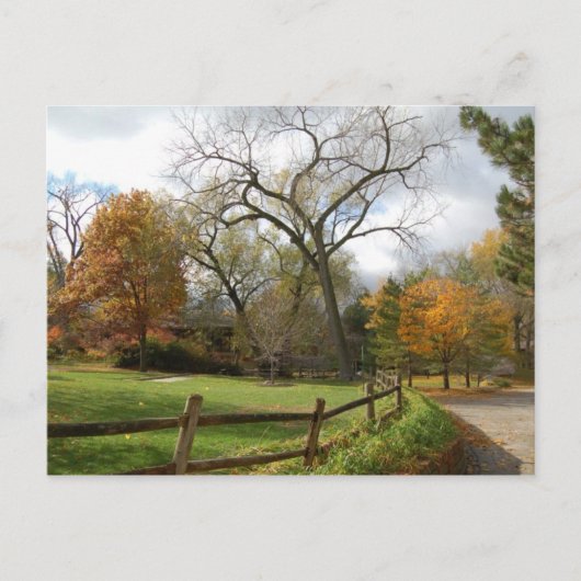 Carte Postale Automne (Devant)