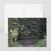 Carte Postale Automne (Devant / Derrière)