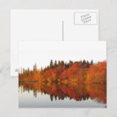 Carte Postale Automne (Devant / Derrière)